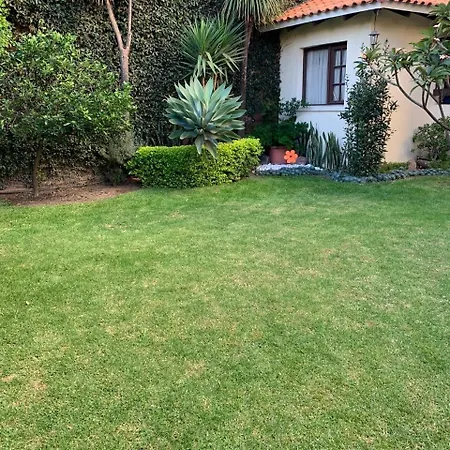 Apartamento Con Jardin Cochabamba Exterior photo